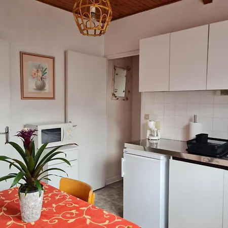 La Gleyziniere 4 Apartament *